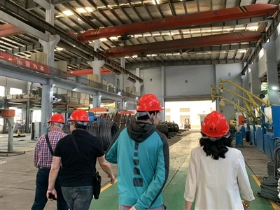 Pelanggan Turki Datang Mengunjungi Perusahaan Kami